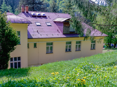 Spa villa, Trenčianske Teplice