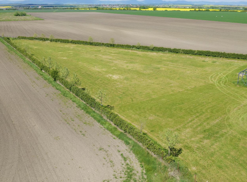 Sale - Investment Project: Residential area Reca, Senec - Reca