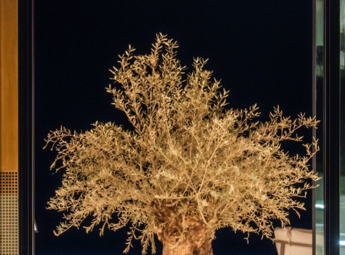 Zahraničné nehnuteľnosti - Moderné vily v 5* LIOQA rezorte, Chorvátsko – Ugljan