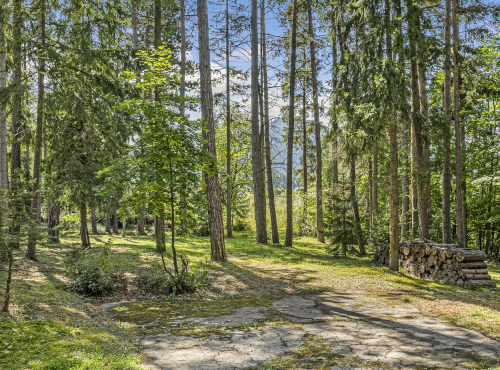 Predaj - Rekreačná chata s históriou, Liptovský Mikuláš – Iľanovo