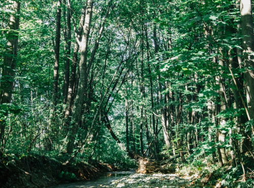 Zahraničné nehnuteľnosti - Rekreačný dom v podhorí Beskýd, Komorní Lhotka