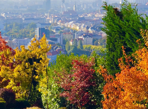Predaj - Monumentálna vila s exkluzívnym pozemkom, BA III – Koliba