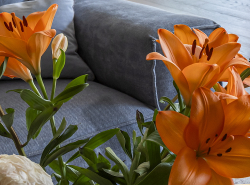 Predaj - Vila Záhorské sady, BA IV – Záhorská Bystrica