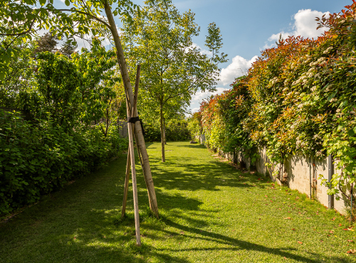 Predaj - Vila Záhorské sady, BA IV – Záhorská Bystrica