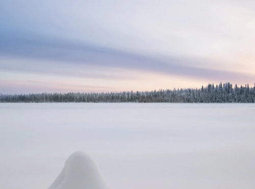 Zahraničné nehnuteľnosti - Zrubový chalet pri jazere, Fínsko – Ruka