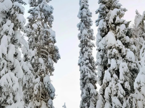 Zahraničné nehnuteľnosti - Zrubový chalet pri jazere, Fínsko – Ruka