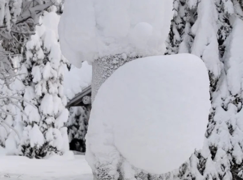 Zahraničné nehnuteľnosti - Zrubový chalet pri jazere, Fínsko – Ruka