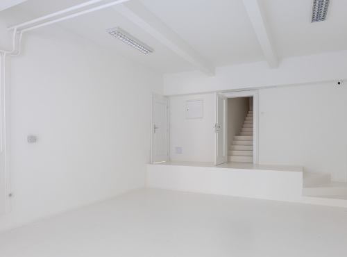 Predaj - Reprezentatívna vila s veľkorysým pozemkom, BA I – Staré Mesto