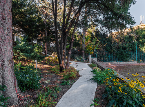 Predaj - Reprezentatívna vila s veľkorysým pozemkom, BA I – Staré Mesto