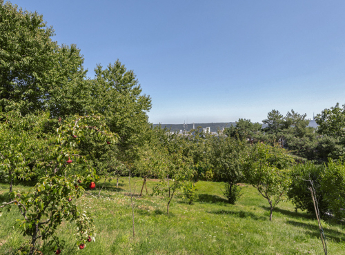 Predaj - Pozemok pri lese v tichej rezidenčnej zóne, Bratislava IV – Dúbravka