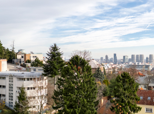 Investment family house on Mišíkova, BA I – Old Town