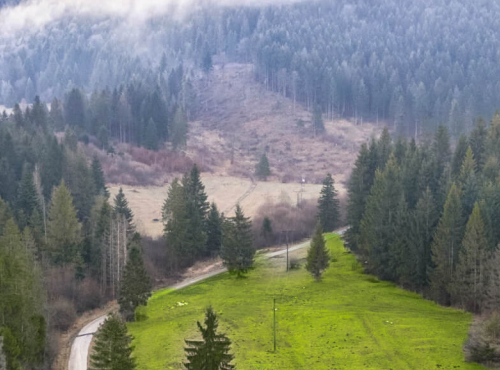 Sale - Authentic log house in the Malá Fatra region, Žilina – Terchová